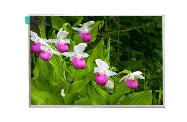 lcd液晶屏幕的維護(hù)保養(yǎng)該如何做？【海飛智顯】-lcd液晶顯示屏廠家