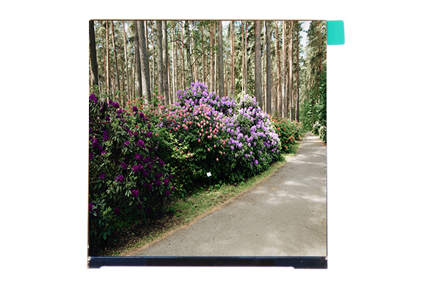 方形屏真的更適合我們嗎？4英寸480×480方形屏的優(yōu)勢(shì)與應(yīng)用