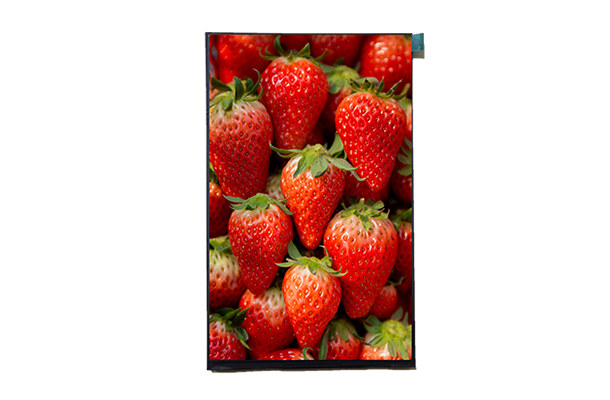 6.95寸720x1440液晶屏：超高分辨率下的新設(shè)備革新，是否值得擁有？