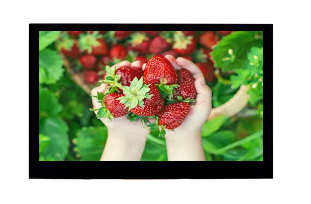 4.3寸800*480 LCD顯示屏：超高分辨率如何提升用戶體驗(yàn)？