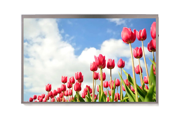 8寸800x480液晶屏：為何它仍是低成本設(shè)備的理想之選？